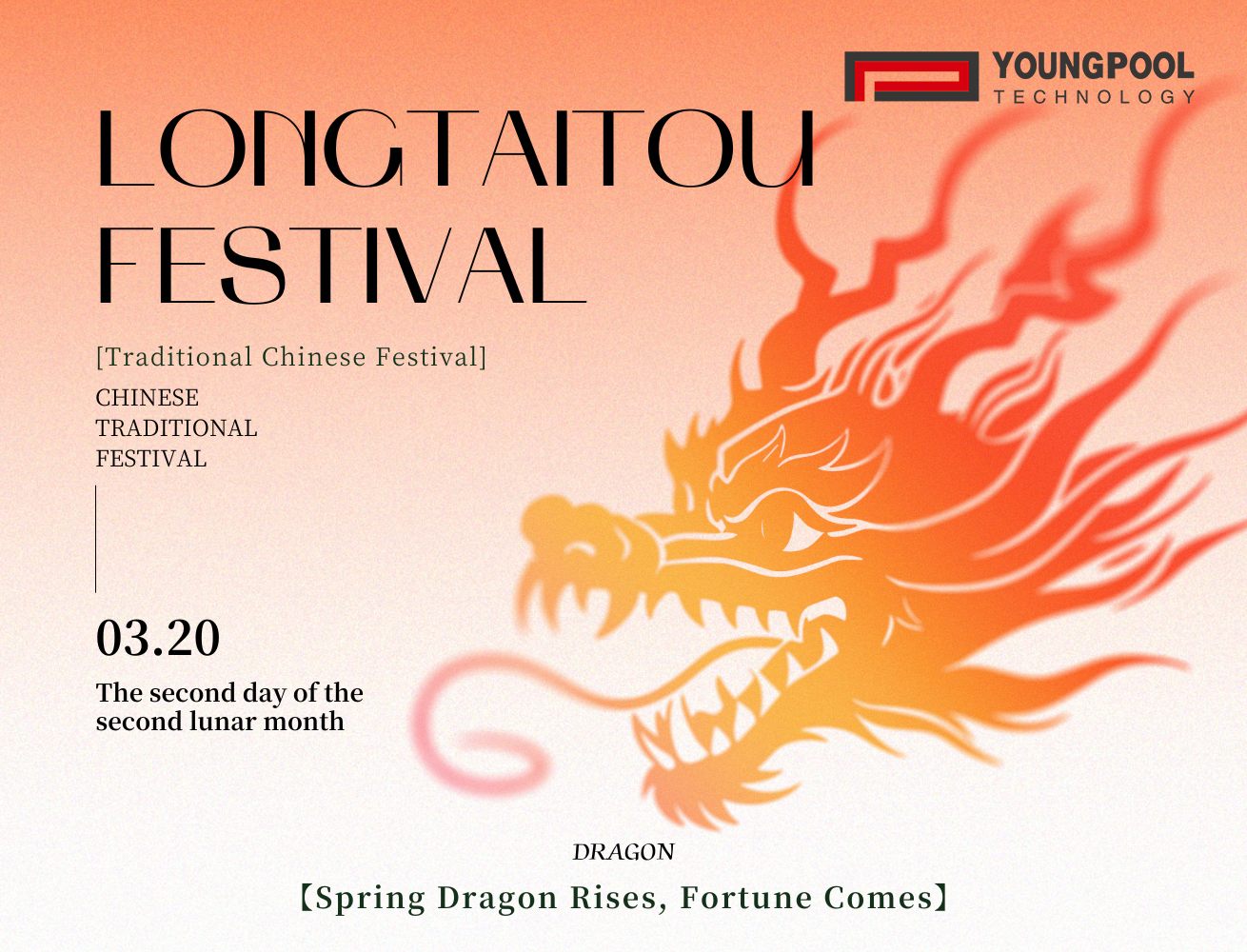 يونغبول للتكنولوجيا | يوم رفع رؤوس التنين يُمثّل بداية رحلة جديدة، ويدفع بالتصنيع الذكي إلى آفاق جديدة